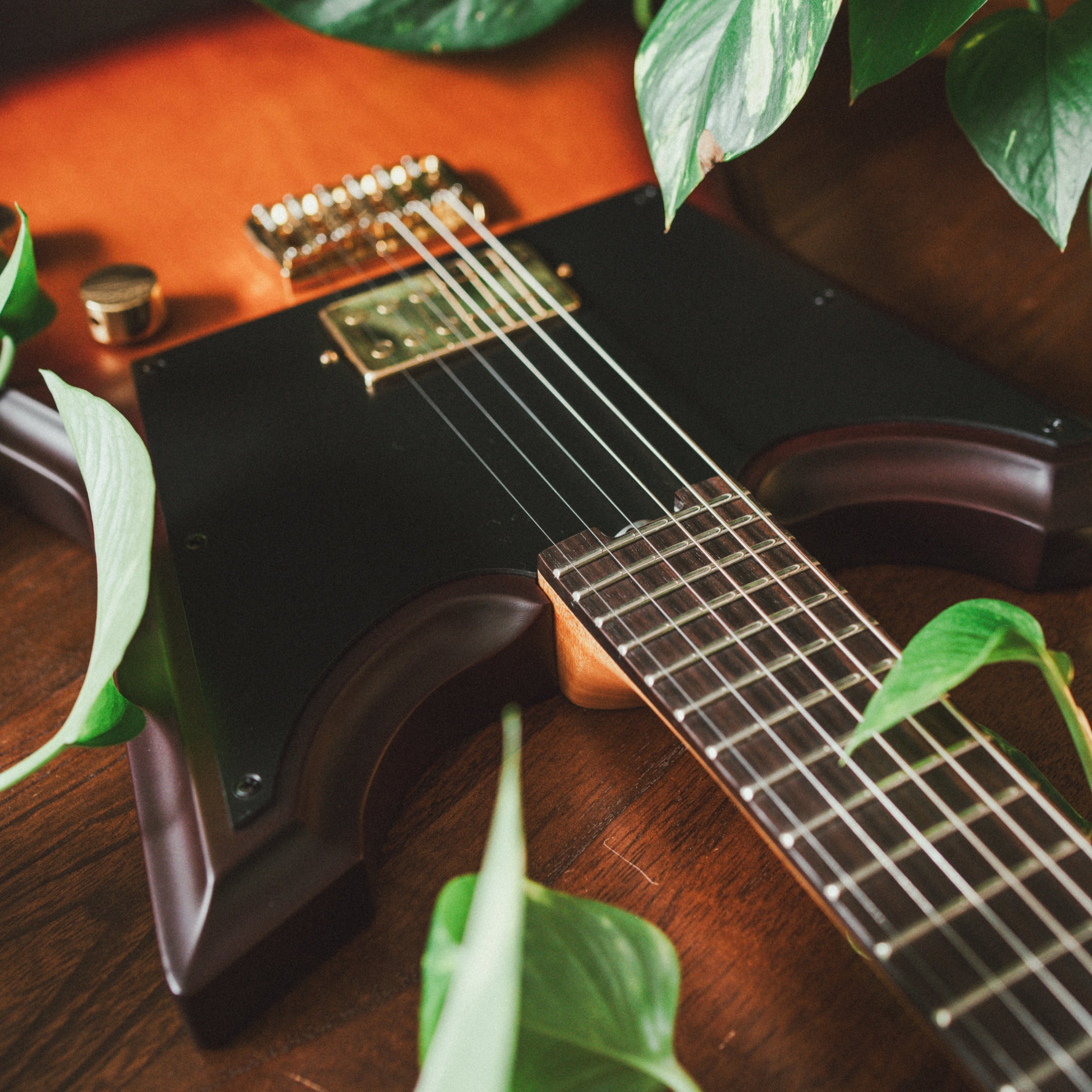 KODEX - INDEPENDENT LINE – KODEX AUDIO